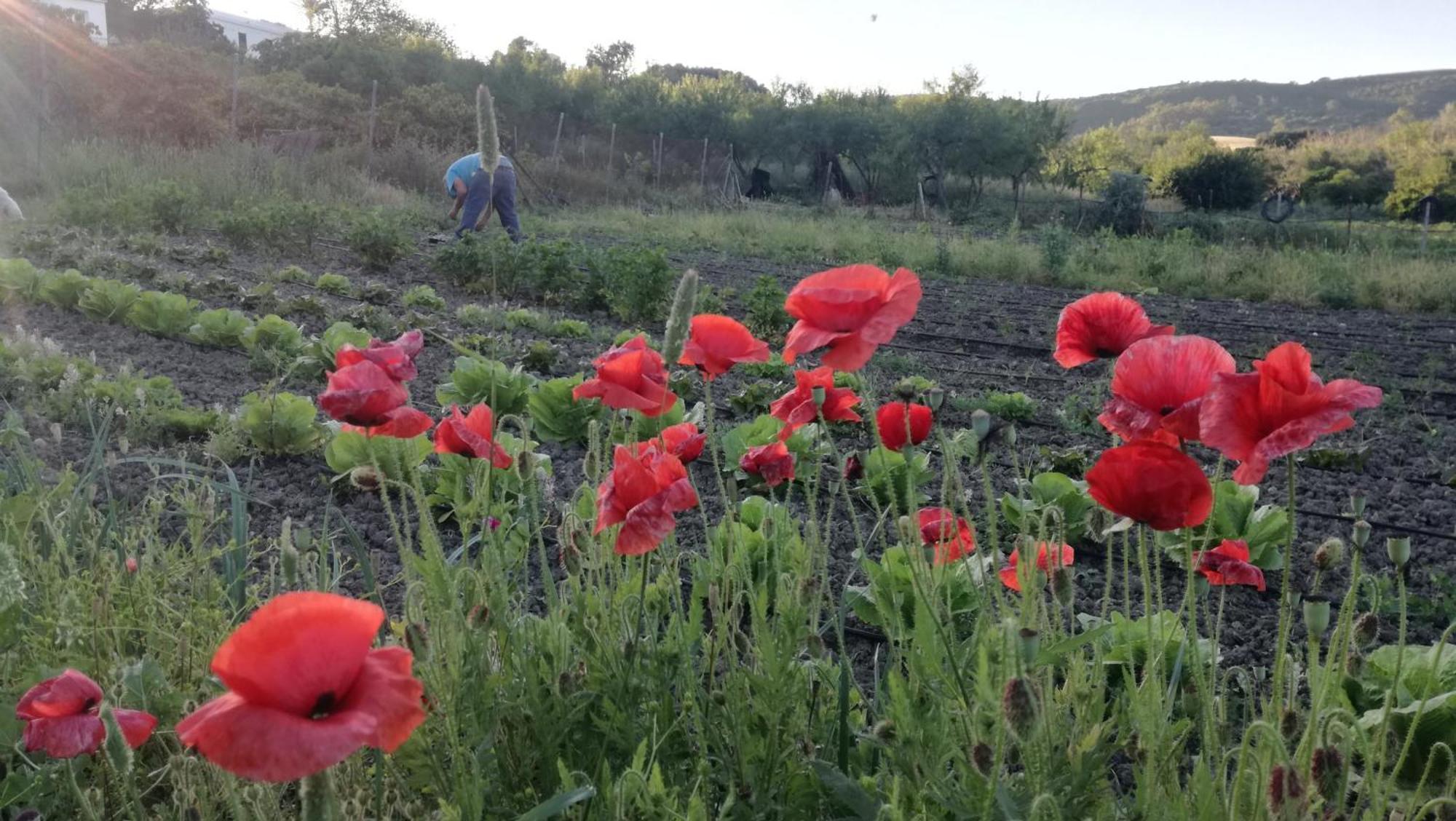 Casa Rural El Cubillo 베예데라프론테라 외부 사진