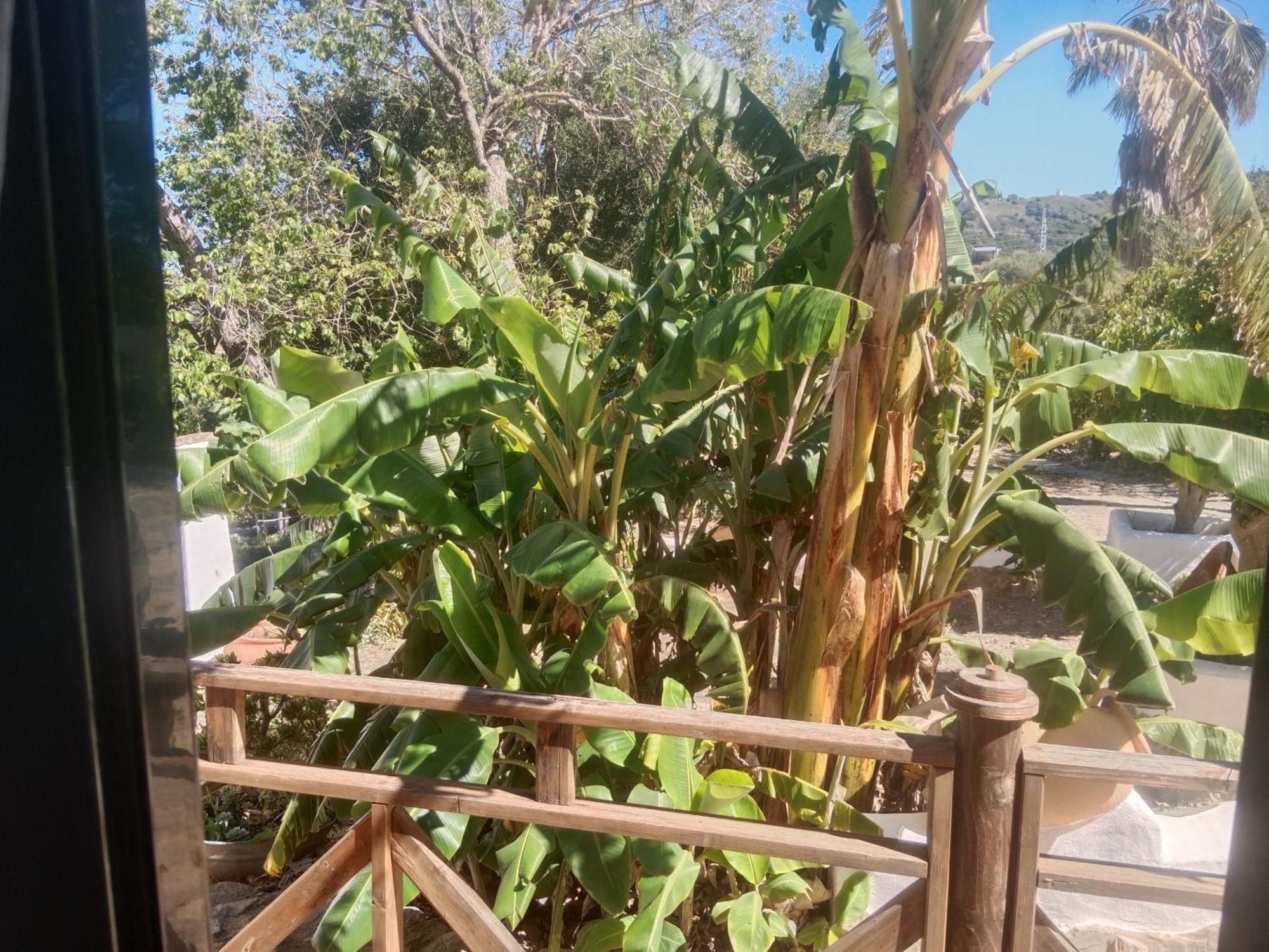 Casa Rural El Cubillo 베예데라프론테라 외부 사진